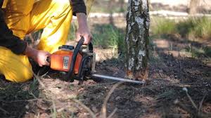 Best Lawn Maintenance Plans  in Stockton, CA