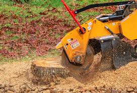 How Our Tree Care Process Works  in  Stockton, CA