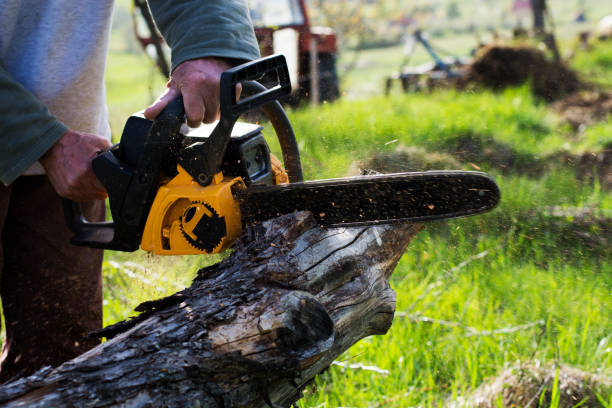 Best Lawn Watering Services  in Stockton, CA